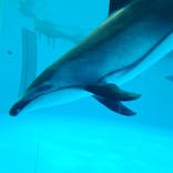 鴨川シーワールドに投稿された画像（2023/10/16）