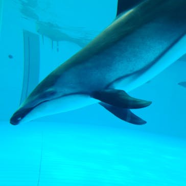 鴨川シーワールドに投稿された画像（2023/10/16）