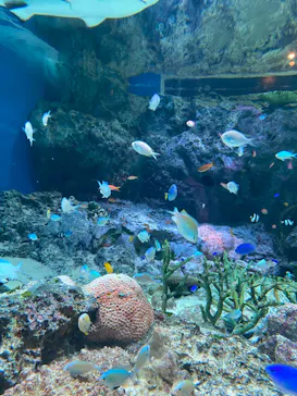 マクセル アクアパーク品川に投稿された画像（2023/10/16）