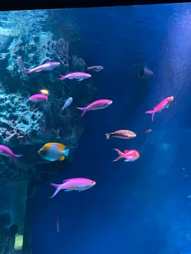 マクセル アクアパーク品川に投稿された画像（2023/10/16）