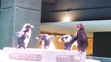 AOAO SAPPOROに投稿された画像（2023/10/16）