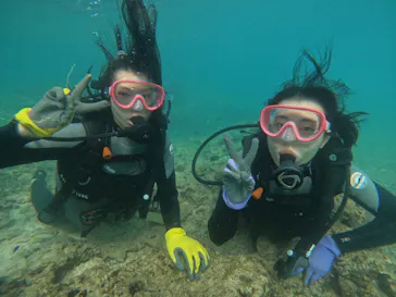 武藤潜水に投稿された画像（2023/10/16）