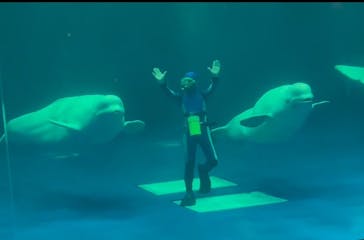 島根県立 しまね海洋館に投稿された画像（2023/10/16）