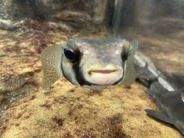 鴨川シーワールドに投稿された画像（2023/10/8）