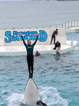 鴨川シーワールドに投稿された画像（2023/10/8）