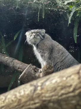神戸どうぶつ王国に投稿された画像（2023/10/16）