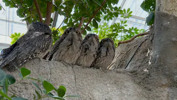 神戸どうぶつ王国に投稿された画像（2023/10/16）