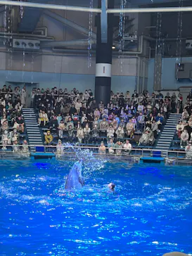 マクセル アクアパーク品川に投稿された画像（2023/10/16）