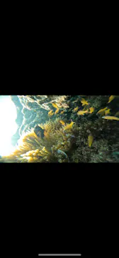 武藤潜水に投稿された画像（2023/10/16）