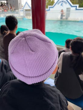 しながわ水族館に投稿された画像（2023/10/16）