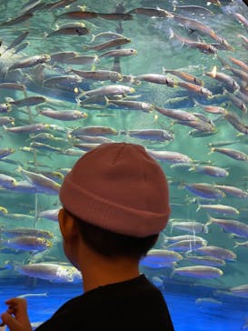 しながわ水族館に投稿された画像（2023/10/16）