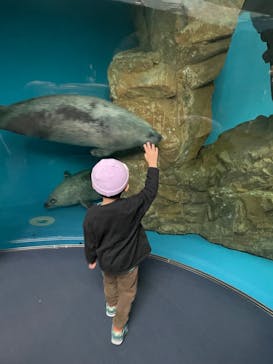 しながわ水族館に投稿された画像（2023/10/16）