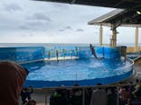 新江ノ島水族館に投稿された画像（2023/10/16）