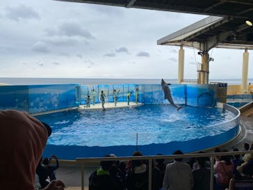 新江ノ島水族館に投稿された画像（2023/10/16）
