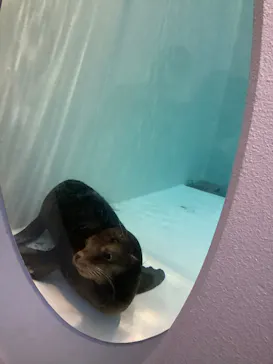 天王寺動物園に投稿された画像（2023/10/16）