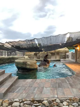 天王寺動物園に投稿された画像（2023/10/16）