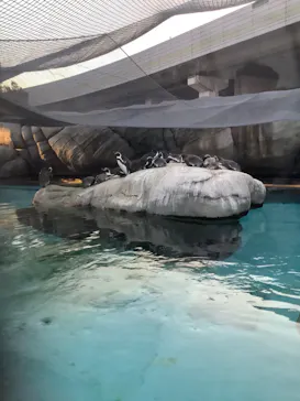 天王寺動物園に投稿された画像（2023/10/16）