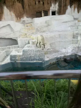 天王寺動物園に投稿された画像（2023/10/16）