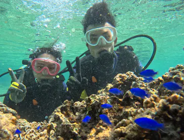 武藤潜水に投稿された画像（2023/10/16）