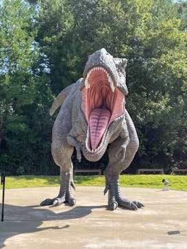 福井県立恐竜博物館に投稿された画像（2023/10/16）