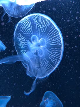 AOAO SAPPOROに投稿された画像（2023/10/16）