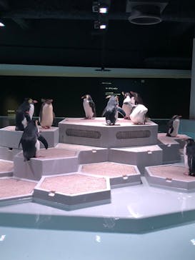 AOAO SAPPOROに投稿された画像（2023/10/16）