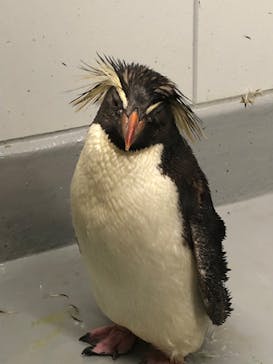 AOAO SAPPOROに投稿された画像（2023/10/16）