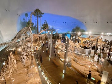 福井県立恐竜博物館に投稿された画像（2023/10/16）