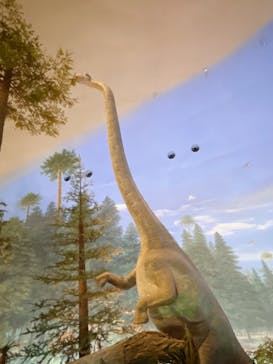 福井県立恐竜博物館に投稿された画像（2023/10/16）