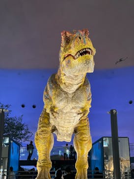 福井県立恐竜博物館に投稿された画像（2023/10/16）