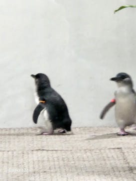 AOAO SAPPOROに投稿された画像（2023/10/16）