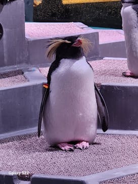 AOAO SAPPOROに投稿された画像（2023/10/16）