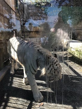 東武動物公園に投稿された画像（2023/10/16）