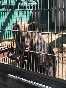 東武動物公園に投稿された画像（2023/10/16）