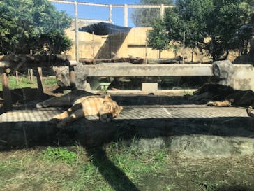 東武動物公園に投稿された画像（2023/10/16）