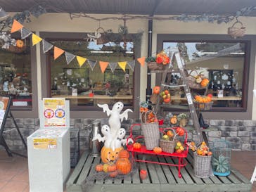 淡路ファームパーク イングランドの丘に投稿された画像（2023/10/16）