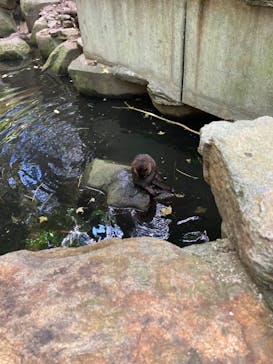 長崎バイオパークに投稿された画像（2023/10/16）