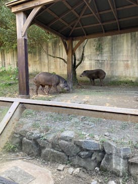 長崎バイオパークに投稿された画像（2023/10/16）