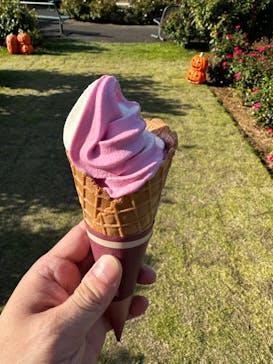 京成バラ園に投稿された画像（2023/10/16）