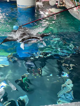 マクセル アクアパーク品川に投稿された画像（2023/10/16）