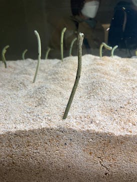 AOAO SAPPOROに投稿された画像（2023/10/16）