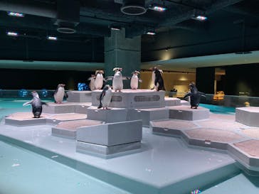 AOAO SAPPOROに投稿された画像（2023/10/16）