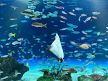 サンシャイン水族館に投稿された画像（2023/10/16）