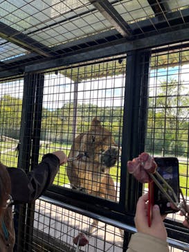 那須サファリパークに投稿された画像（2023/10/16）