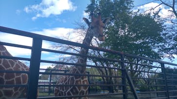 宇都宮動物園に投稿された画像（2023/10/16）