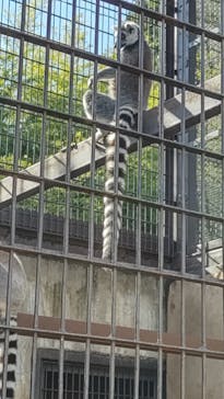 宇都宮動物園に投稿された画像（2023/10/16）