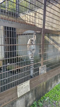 宇都宮動物園に投稿された画像（2023/10/16）