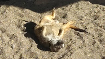 宇都宮動物園に投稿された画像（2023/10/16）