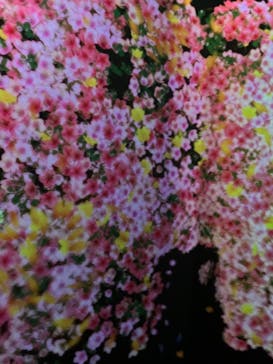 チームラボに投稿された画像（2023/10/16）