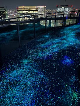 梅田スカイビル・空中庭園展望台に投稿された画像（2023/10/16）